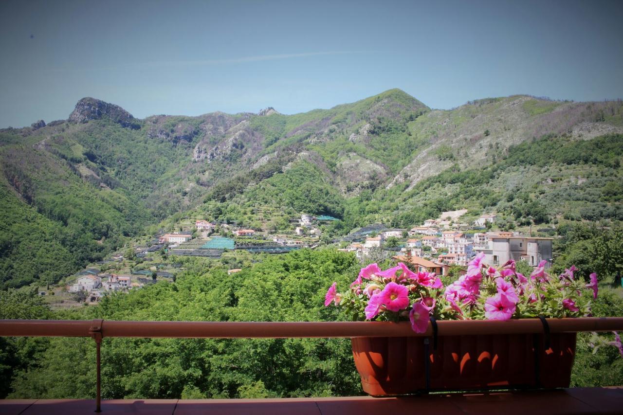 Tra I Monti Bed & Breakfast Tramonti Dış mekan fotoğraf