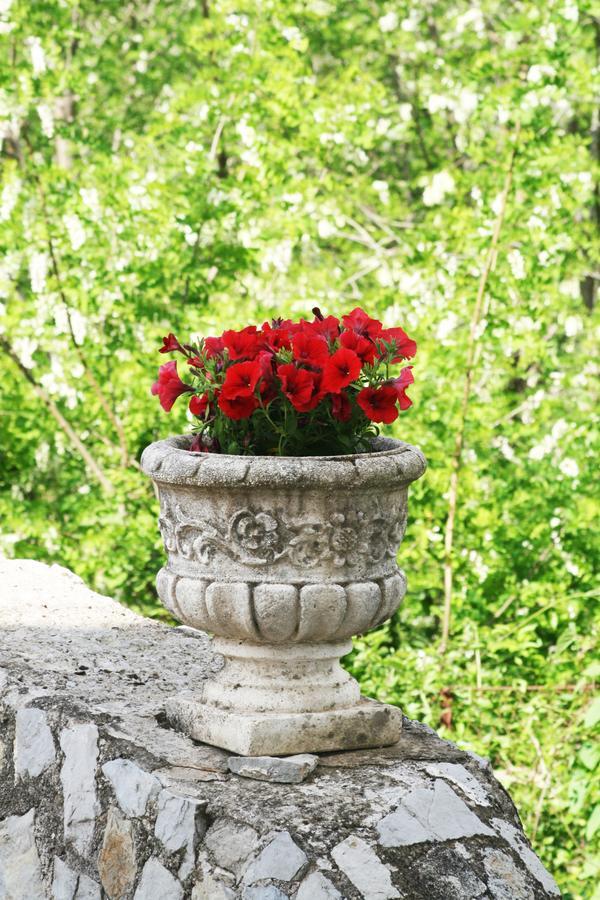 Tra I Monti Bed & Breakfast Tramonti Dış mekan fotoğraf