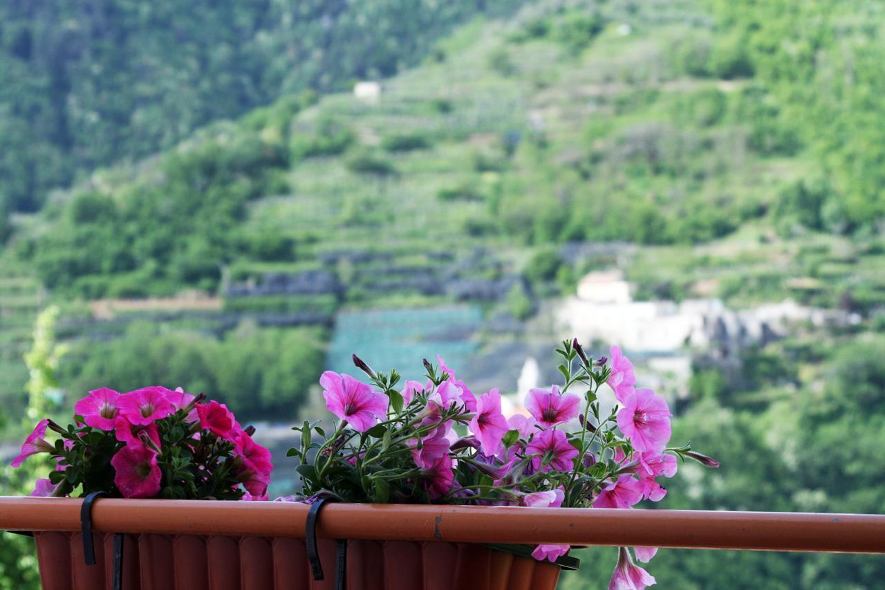 Tra I Monti Bed & Breakfast Tramonti Dış mekan fotoğraf