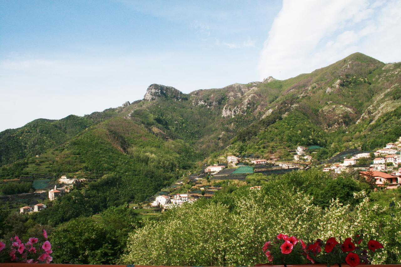 Tra I Monti Bed & Breakfast Tramonti Dış mekan fotoğraf