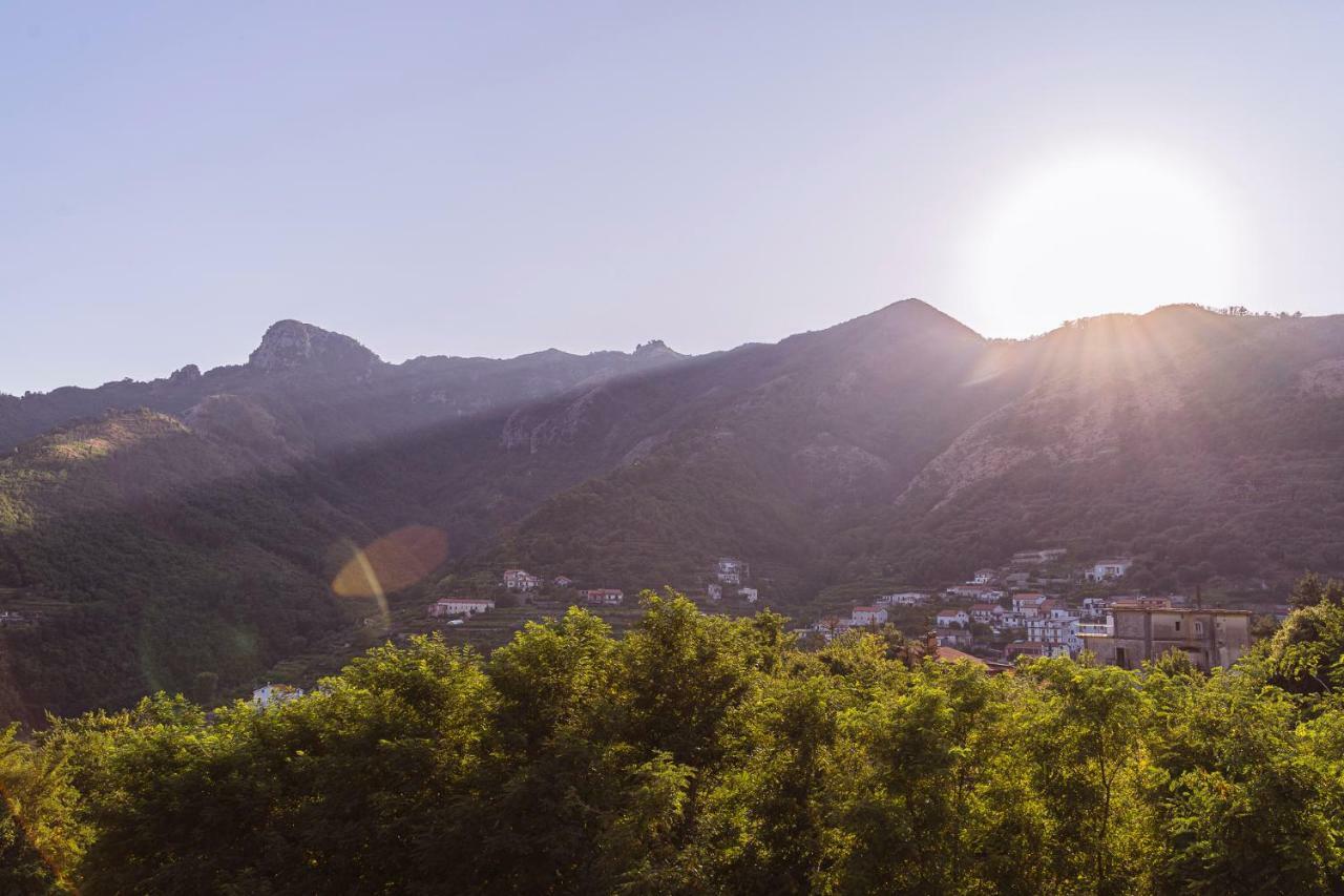 Tra I Monti Bed & Breakfast Tramonti Dış mekan fotoğraf